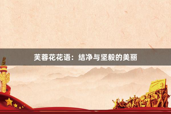 芙蓉花花语：结净与坚毅的美丽