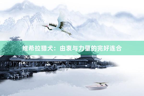 维希拉猎犬：由衷与力量的完好连合